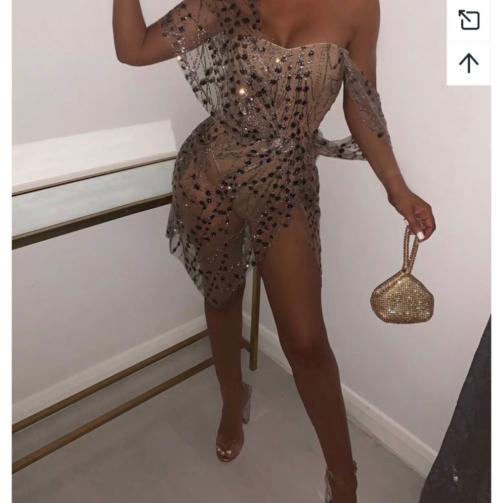 Glitter Mesh Mini Dress